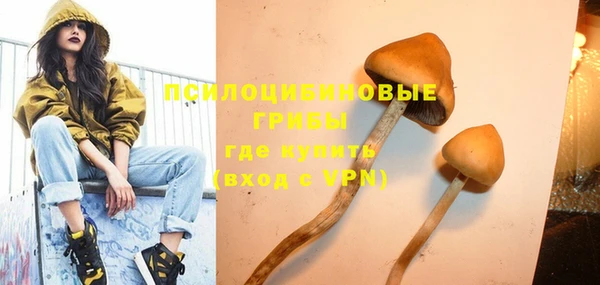 экстази Богданович