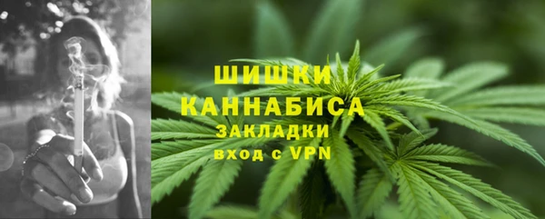 мескалин Богородицк