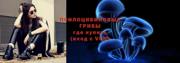 экстази Богданович