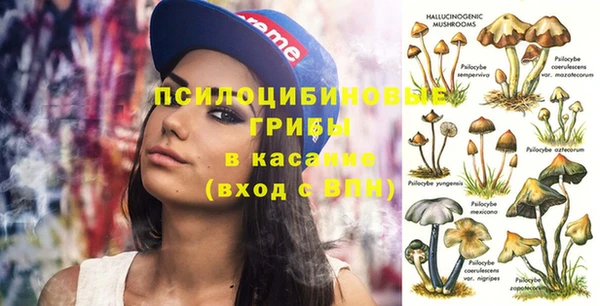 мескалин Богородицк